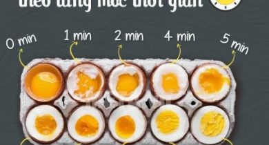 luộc trứng gà bao nhiêu phút thì ngon