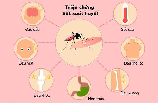 tại sao bị sốt xuất huyết và dấu hiệu